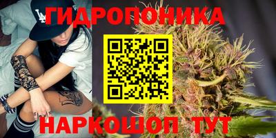 Альфа ПВП Краснодар